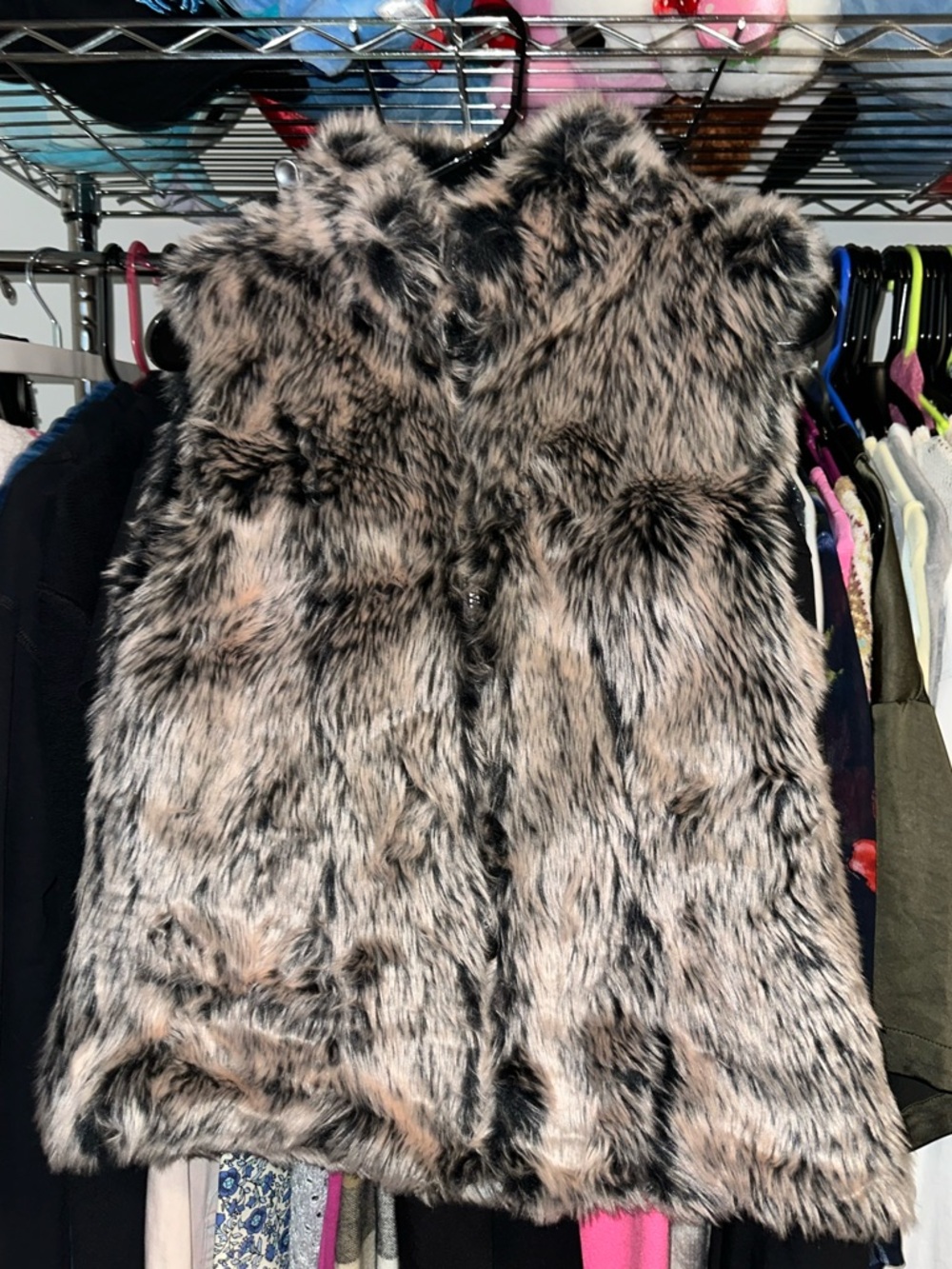 Say What? Faux Fur Vest in Black and Tan